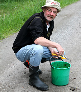 Ove lägger ut de med nematoder infekterade sniglarna .